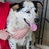 Thumbnail photo of Sydney #2