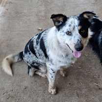 Thumbnail photo of Sydney #4