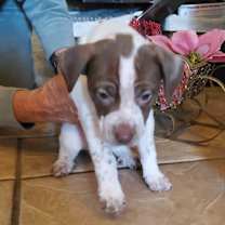 Thumbnail photo of Paris #1