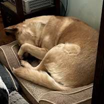 Thumbnail photo of Kiera #2