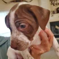 Thumbnail photo of Paris #4