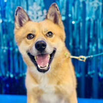 Thumbnail photo of Iago👀 #1