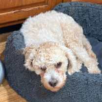 Thumbnail photo of ZAYE #3