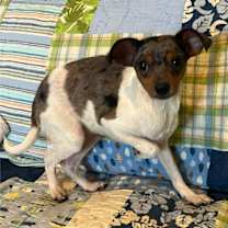 Thumbnail photo of Vaughn #2