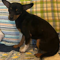 Thumbnail photo of Valery #1