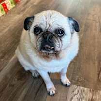 Thumbnail photo of Wilma #3