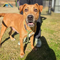 Thumbnail photo of Princess #3