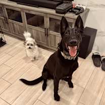 Thumbnail photo of Fury #3