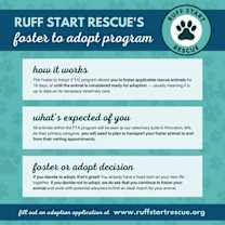 Thumbnail photo of Zavier *Arriving 1/10* #4