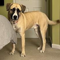 Thumbnail photo of Barkley #1