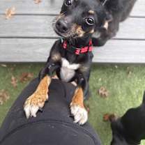 Thumbnail photo of Liv #2