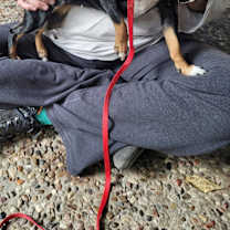 Thumbnail photo of Liv #4