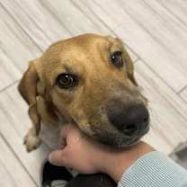 Thumbnail photo of Stacy *Arriving 1/10* #1