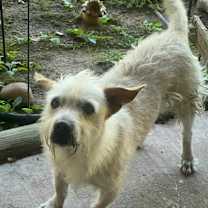 Thumbnail photo of Einstein #4