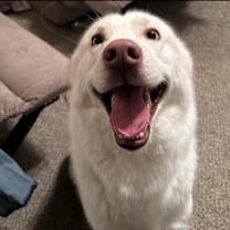 Thumbnail photo of Bo #1