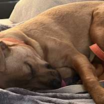 Thumbnail photo of DOS #1