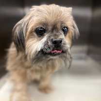 Thumbnail photo of FWT Midori #2