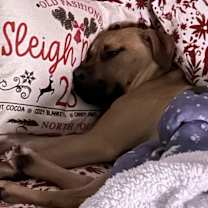 Thumbnail photo of Oakley #1