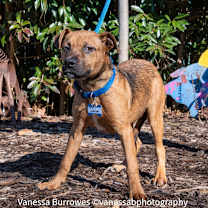 Thumbnail photo of Lamont #2