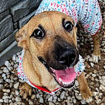 Thumbnail photo of Baby #1