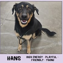 Thumbnail photo of Hans #1