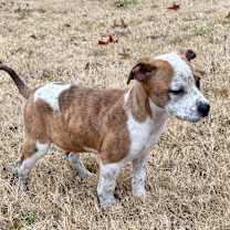 Thumbnail photo of Derrick #1