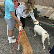 Thumbnail photo of Matilda #4