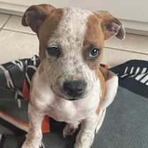 Thumbnail photo of Derrick #4