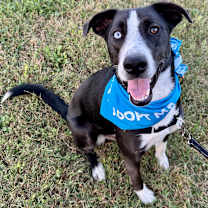 Thumbnail photo of Fred P4P #3