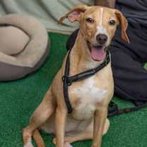 Thumbnail photo of Cindy #2