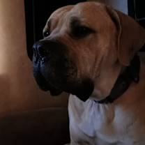 Thumbnail photo of Buddy #1