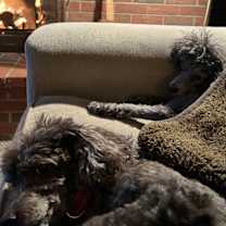 Thumbnail photo of Gus and Jack #1