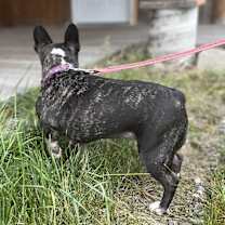 Thumbnail photo of Luna #3