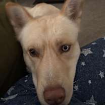 Thumbnail photo of Taylor #4