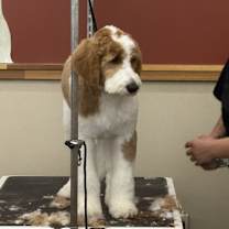 Thumbnail photo of Finn #2