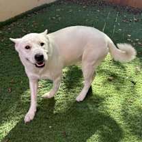 Thumbnail photo of Bolt #1