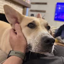 Thumbnail photo of Charlie Girl #3