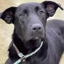 Thumbnail photo of Sally #1