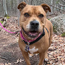 Thumbnail photo of Zoey #1