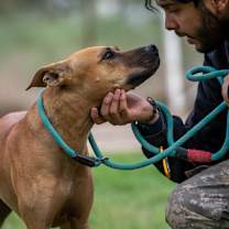 Thumbnail photo of Chook AKA Chaz JuM #3