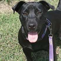 Thumbnail photo of Evan aka Quint JuM #1