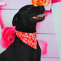 Thumbnail photo of Evan aka Quint JuM #3