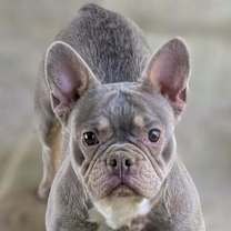 Thumbnail photo of Rachelle #4