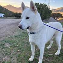 Thumbnail photo of Luka #1