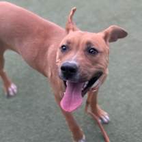 Thumbnail photo of 60008251 #2