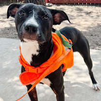 Thumbnail photo of Penny #1