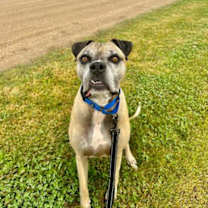 Thumbnail photo of Stitch #2