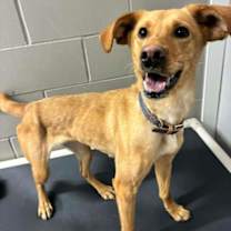 Thumbnail photo of Winnie #2