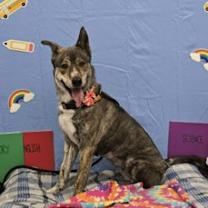 Thumbnail photo of Sage #1