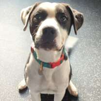 Thumbnail photo of Jingle #1